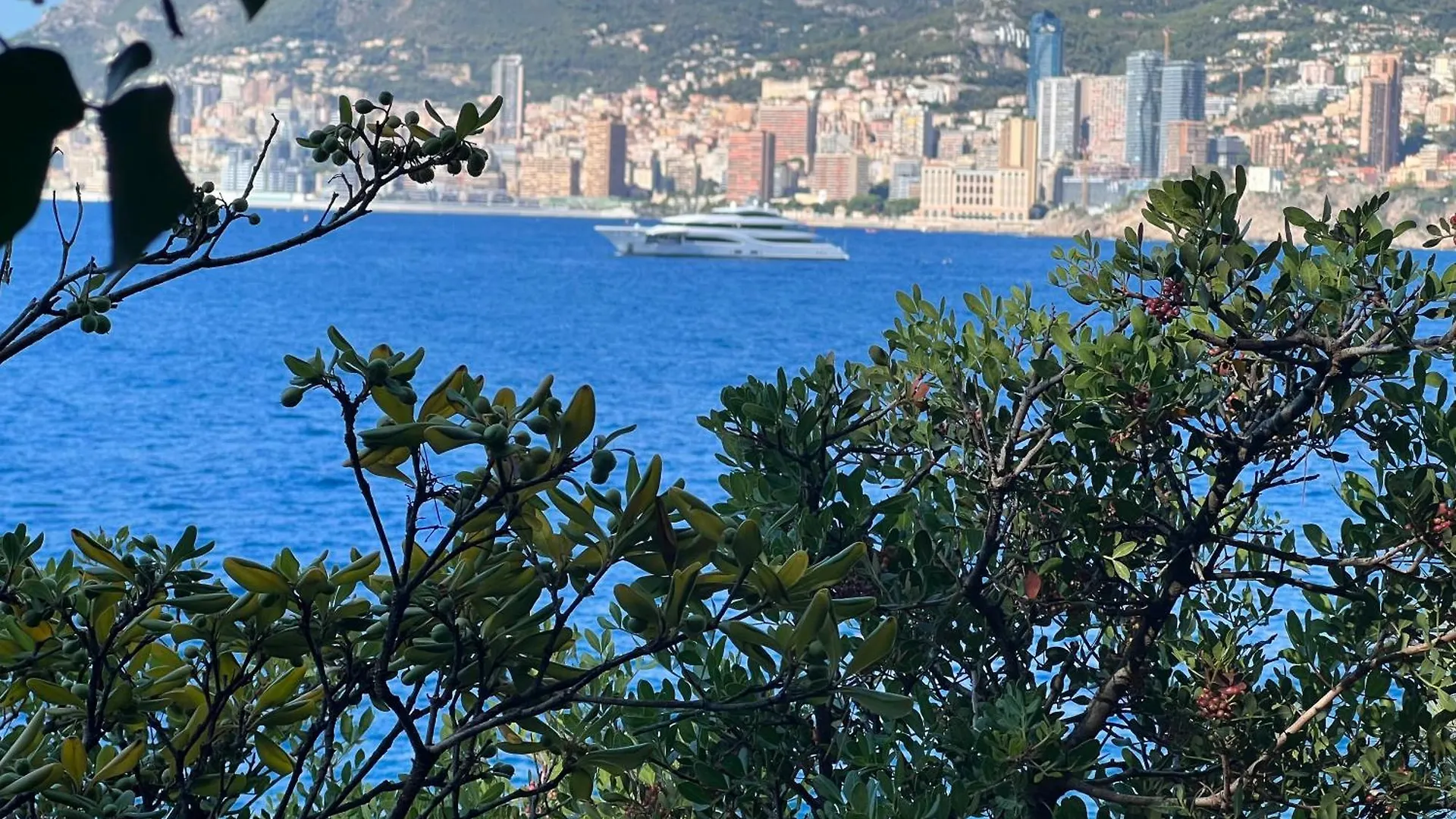 Apartment Le Pamela Face A La Mer Menton